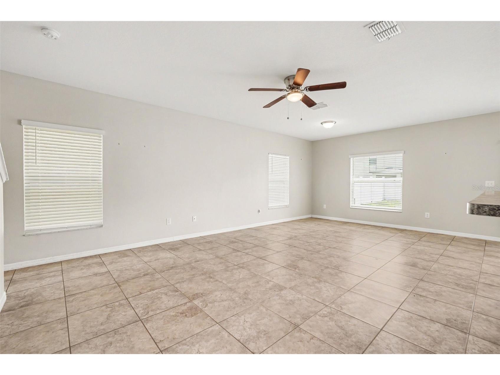 7421 French Marigold Avenue Tampa FL 33619 TB8506689 image7