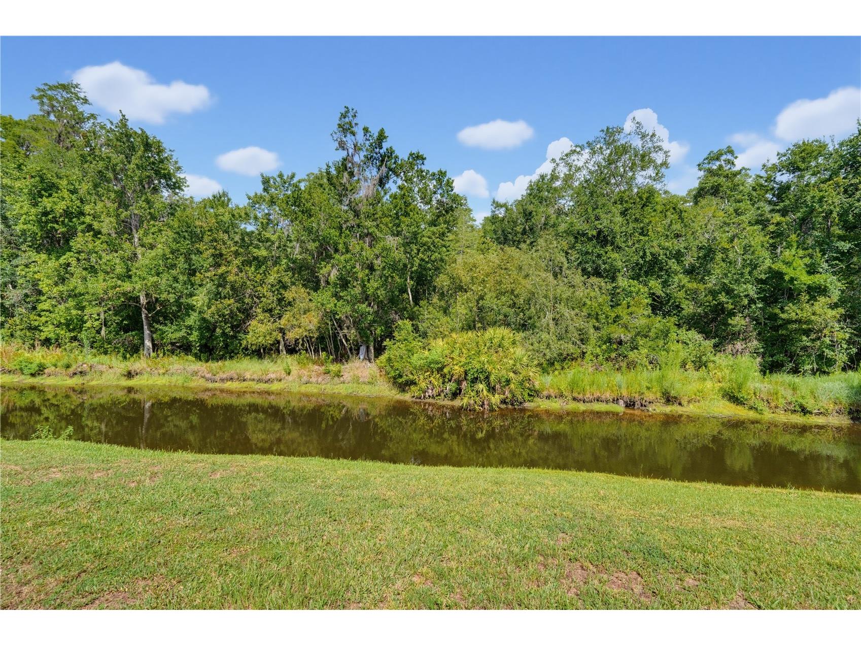 7421 Henry Drive Land O Lakes FL 34638 TB8527139 image47