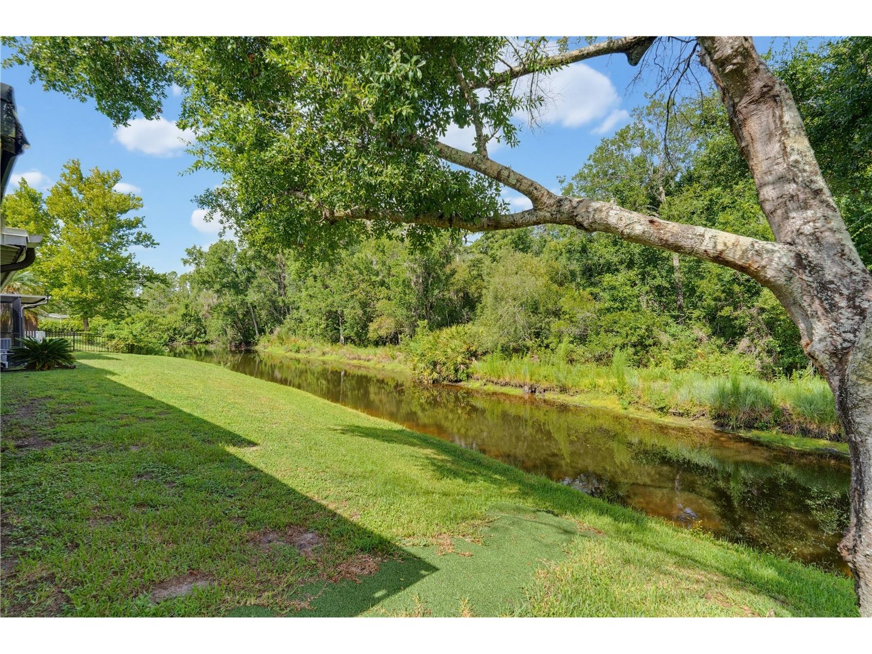 7421 Henry Drive Land O Lakes FL 34638 TB8527139 image48