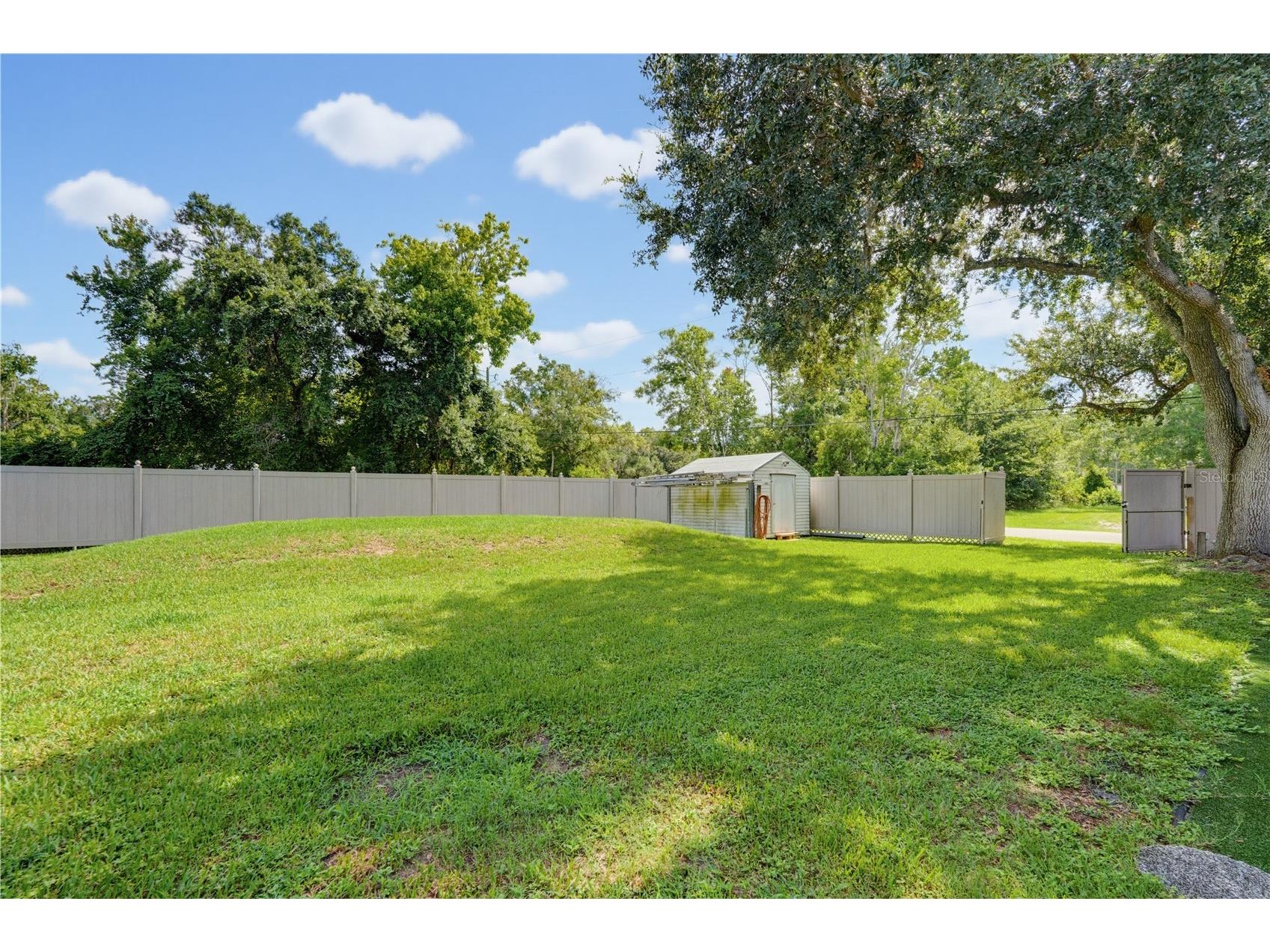 7421 Henry Drive Land O Lakes FL 34638 TB8527139 image54