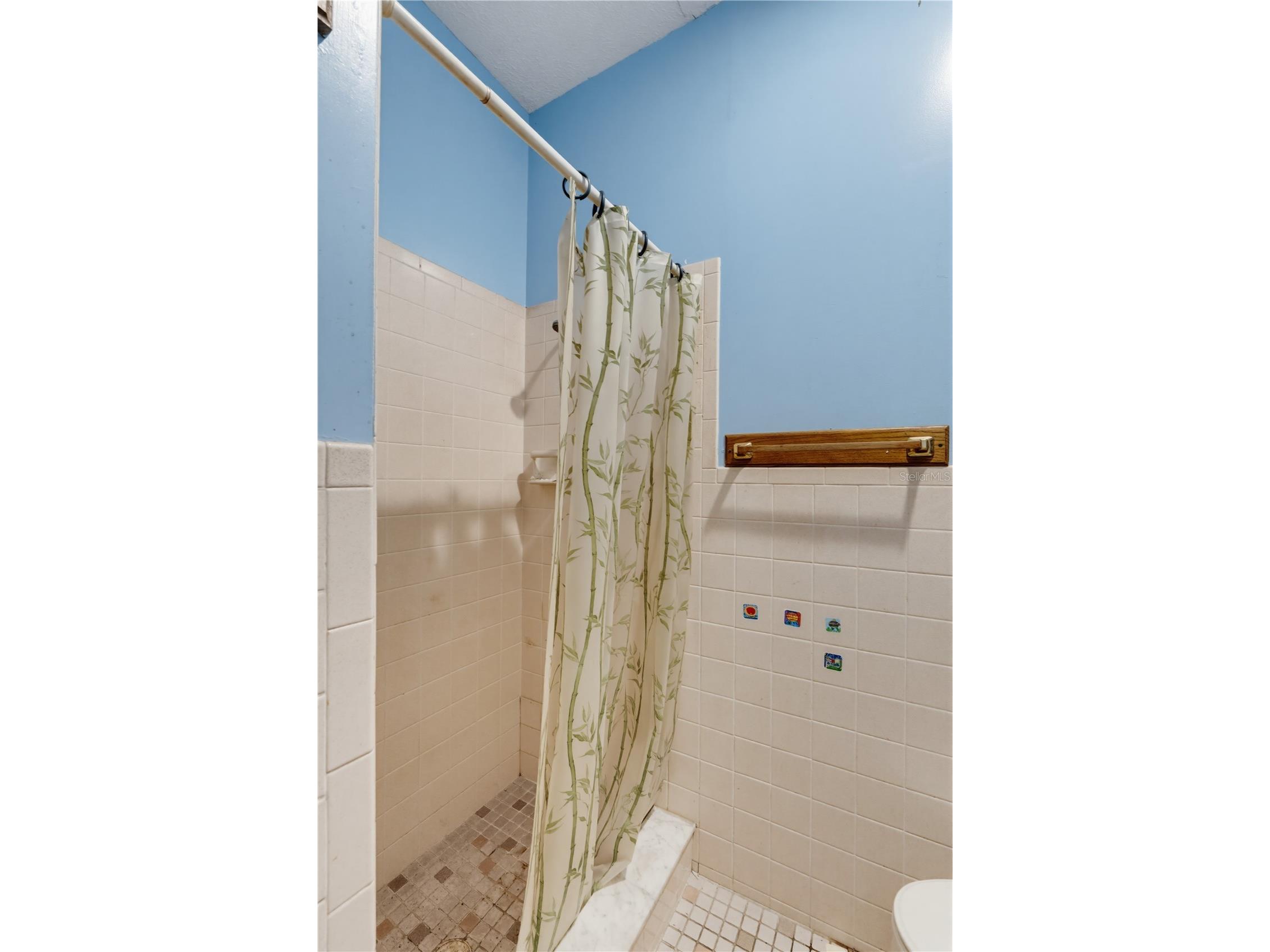 7421 Henry Drive Land O Lakes FL 34638 TB8527139 image64