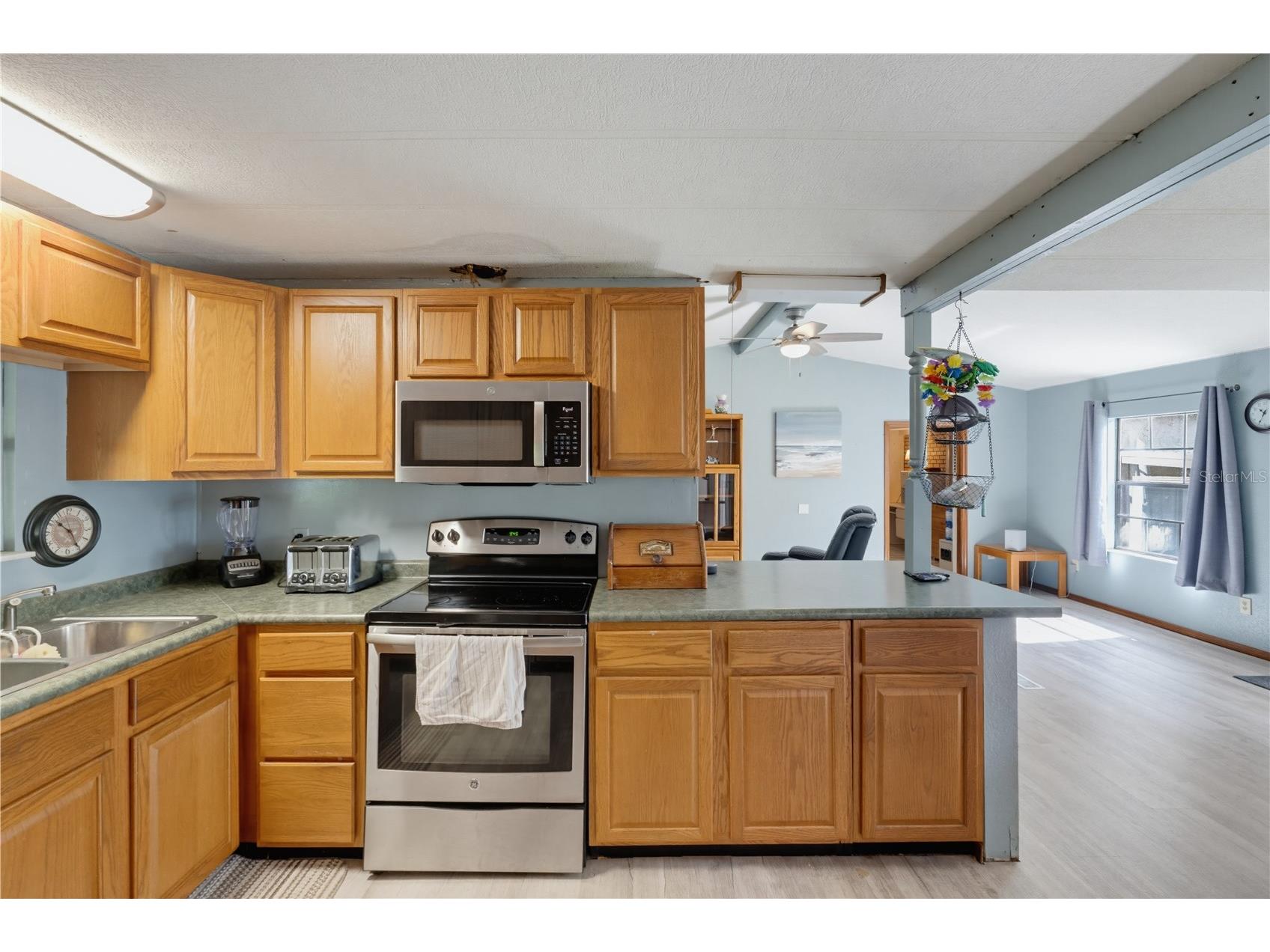 7421 Henry Drive Land O Lakes FL 34638 TB8527139 image8