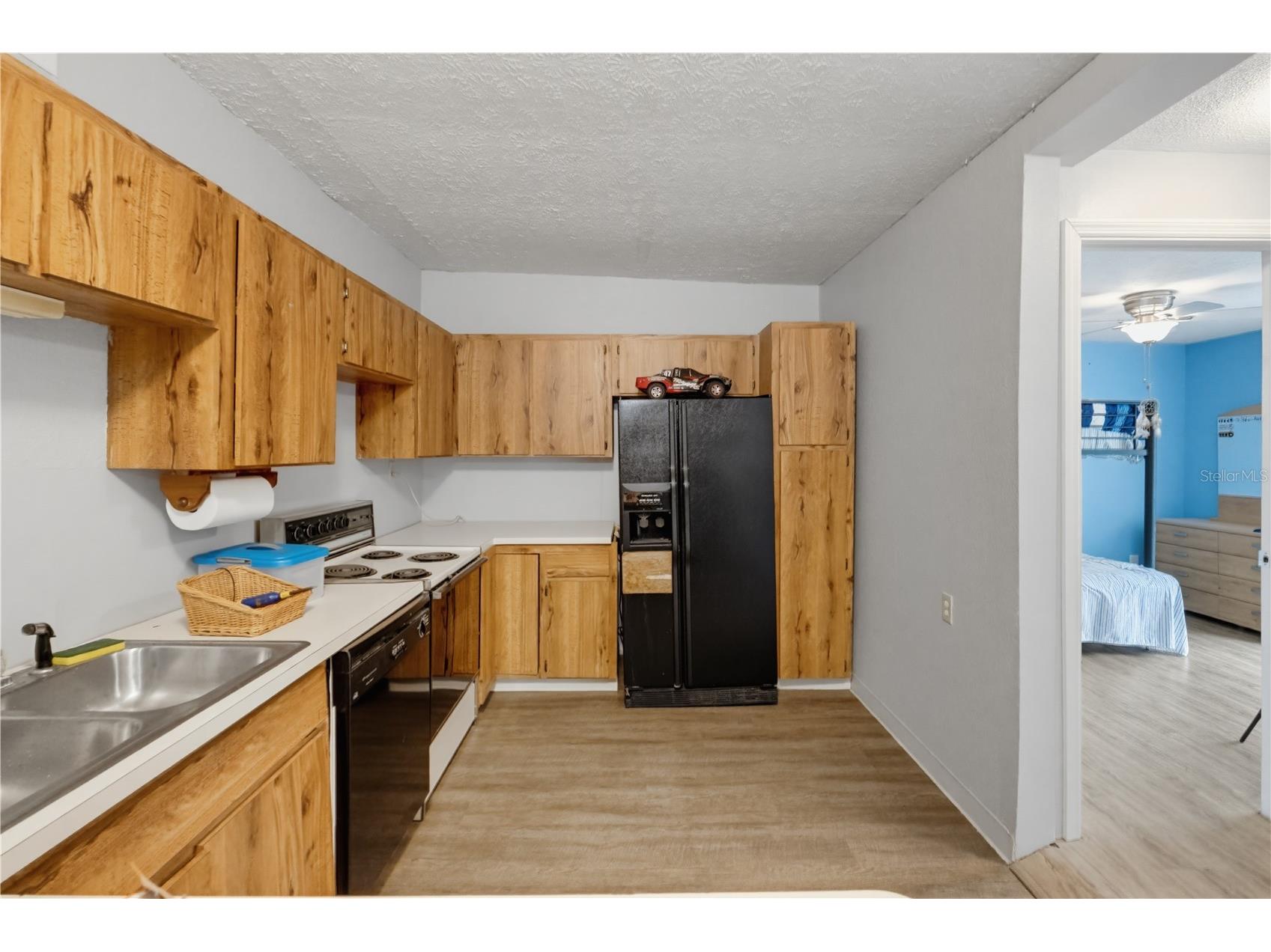 7421 Henry Drive Land O Lakes FL 34638 TB8527139 image84