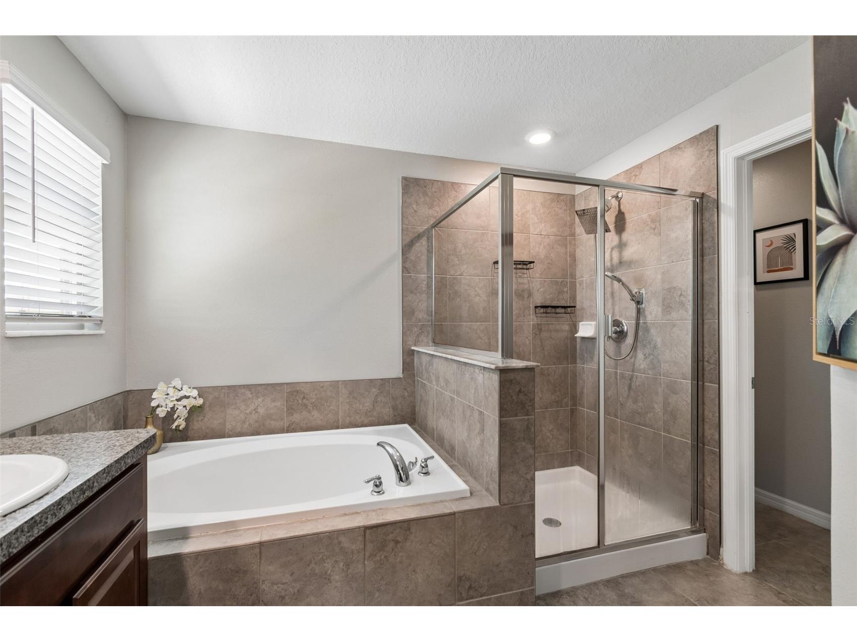 7422 French Marigold Avenue Tampa FL 33619 TB8503296 image52