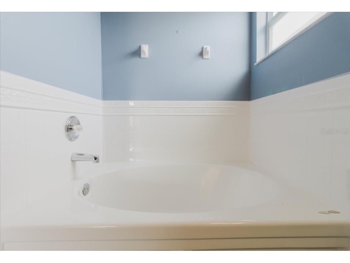 7423 Pulteney Dr Wesley Chapel FL 33545 TB8330305 image36