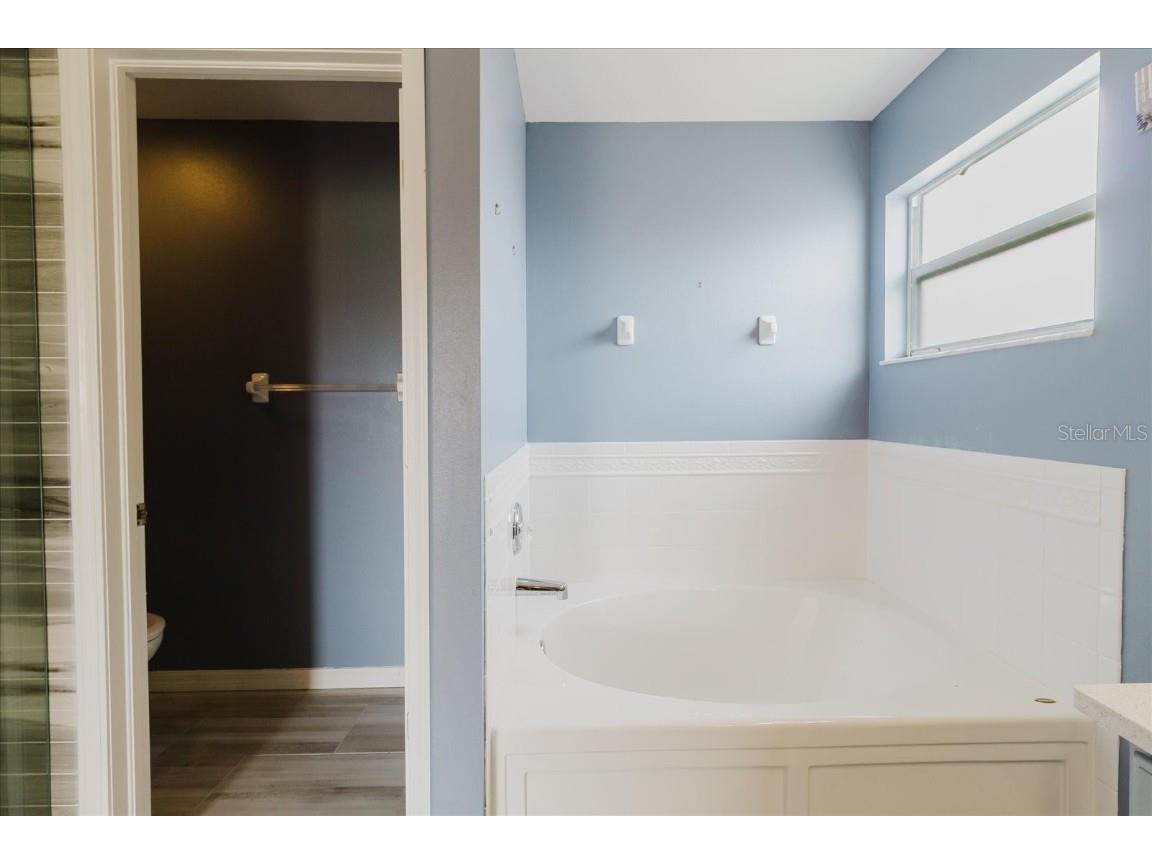 7423 Pulteney Dr Wesley Chapel FL 33545 TB8330305 image37