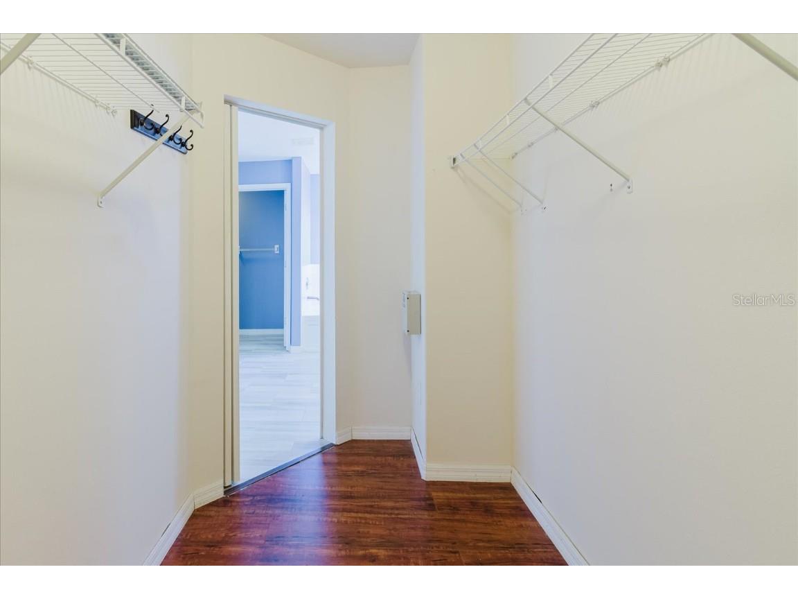 7423 Pulteney Dr Wesley Chapel FL 33545 TB8330305 image38