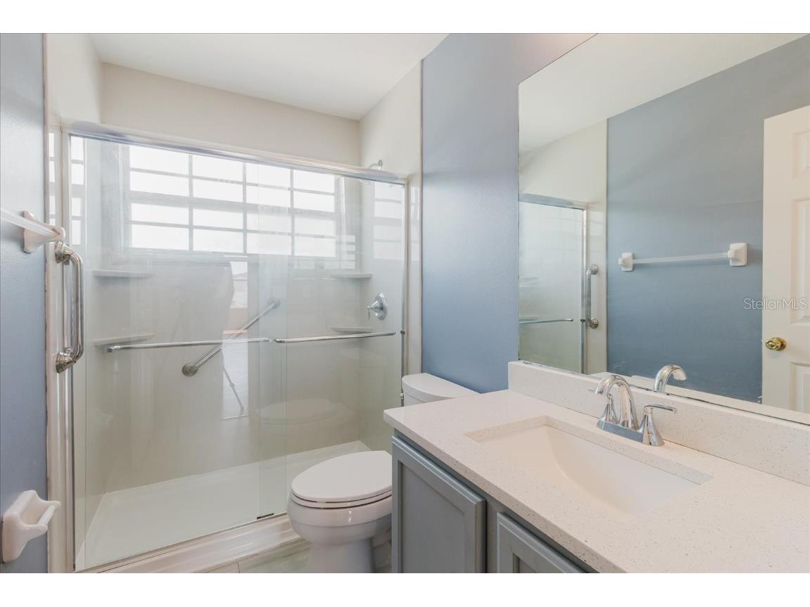 7423 Pulteney Dr Wesley Chapel FL 33545 TB8330305 image42