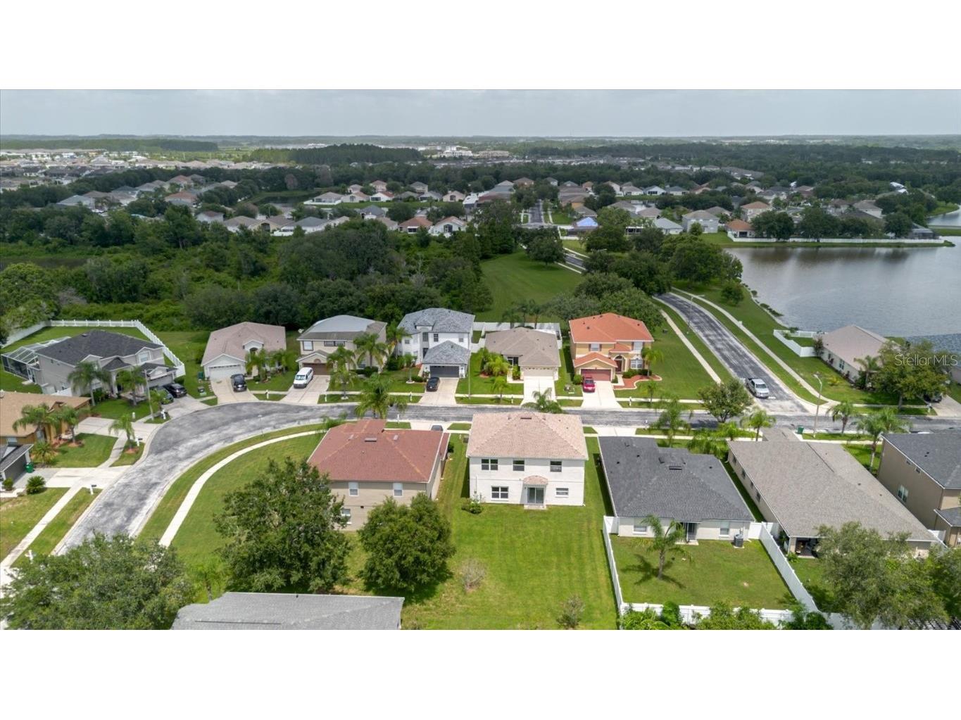 7423 Pulteney Dr Wesley Chapel FL 33545 TB8330305 image60