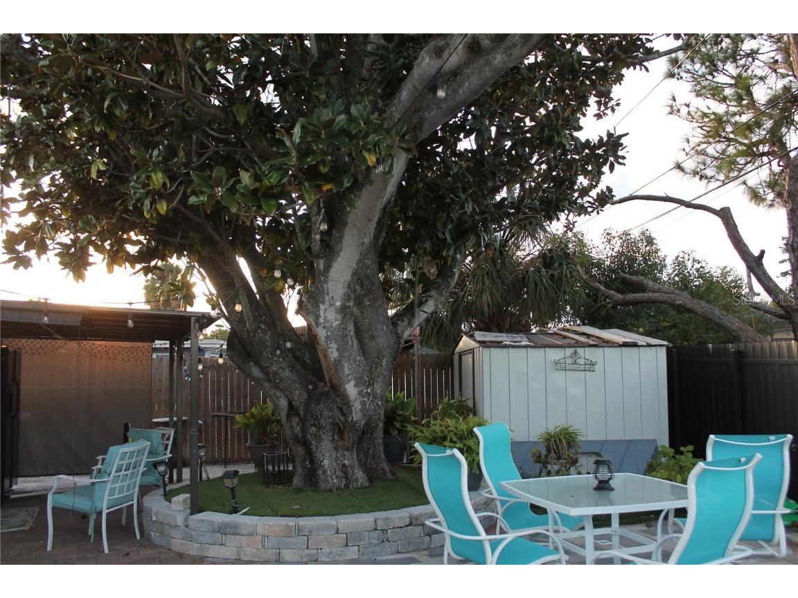 7423 Star Dust Drive Port Richey FL 34668 TB8449919 image21