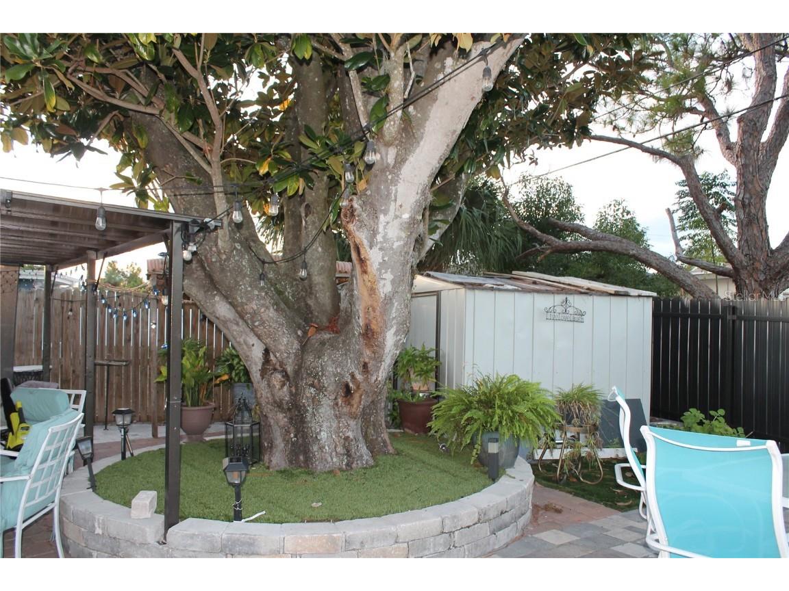 7423 Star Dust Drive Port Richey FL 34668 TB8449919 image23