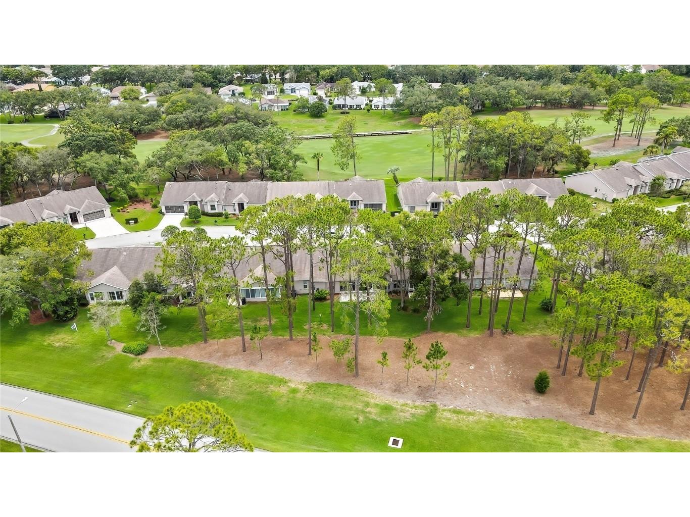 7423 Woodhollow Road Spring Hill FL 34606 W7876590 image1