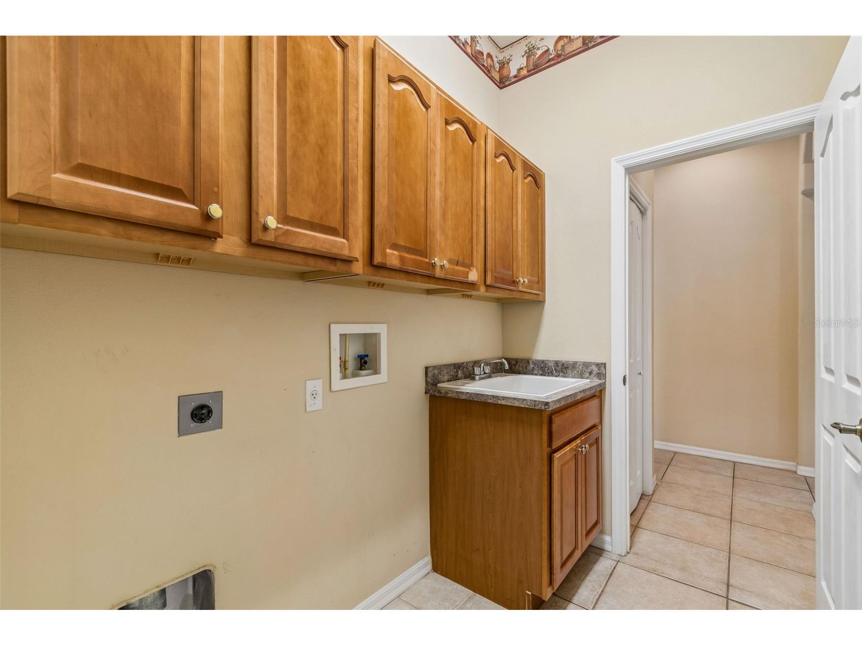7424 Melogold Circle Land O Lakes FL 34637 TB8481245 image14