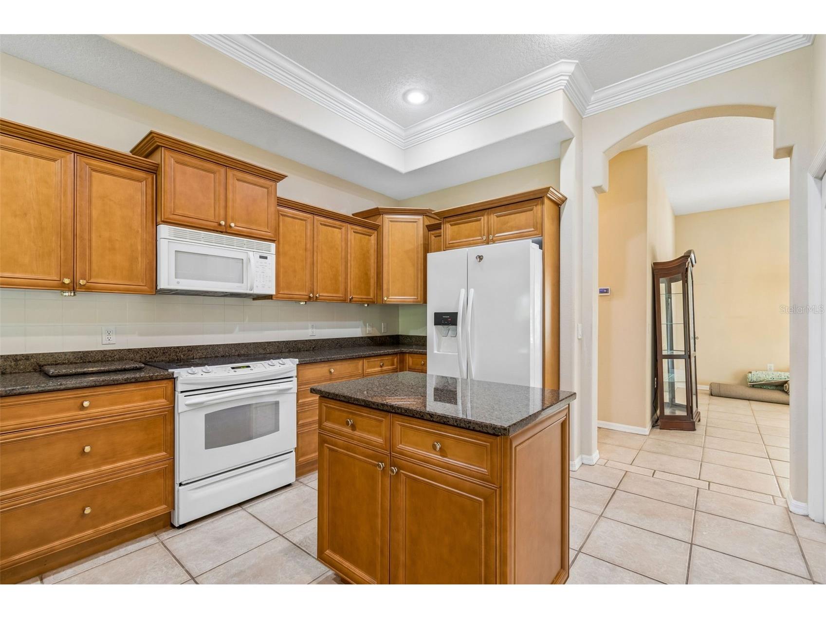 7424 Melogold Circle Land O Lakes FL 34637 TB8481245 image27