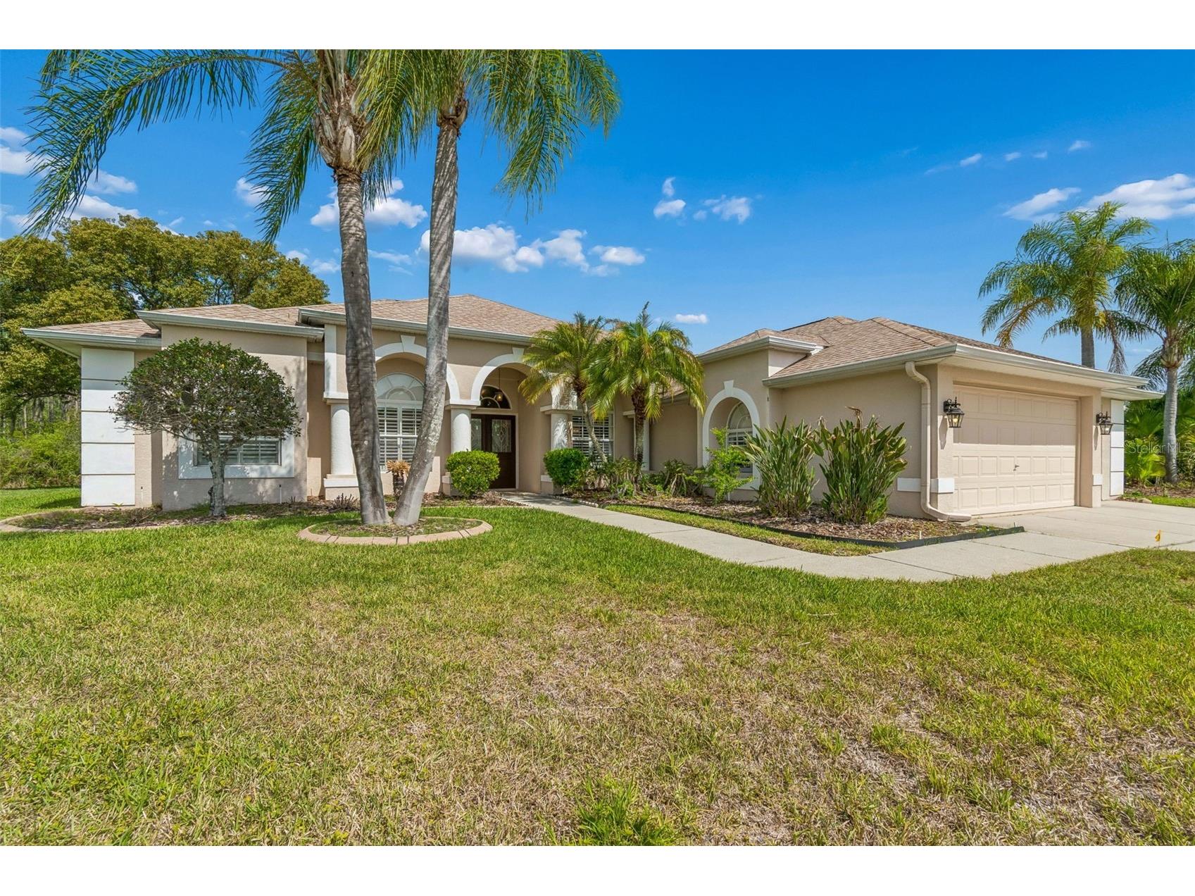 7424 Melogold Circle Land O Lakes FL 34637 TB8481245 image3