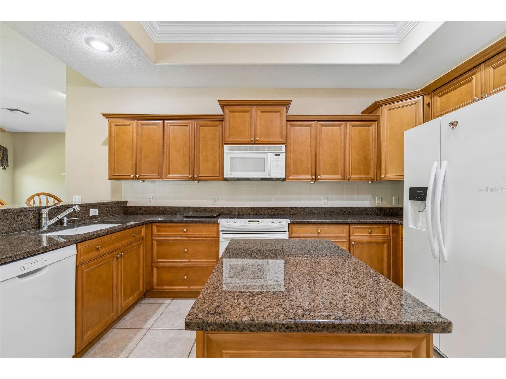 7424 Melogold Circle Land O Lakes FL 34637 TB8481245 image31