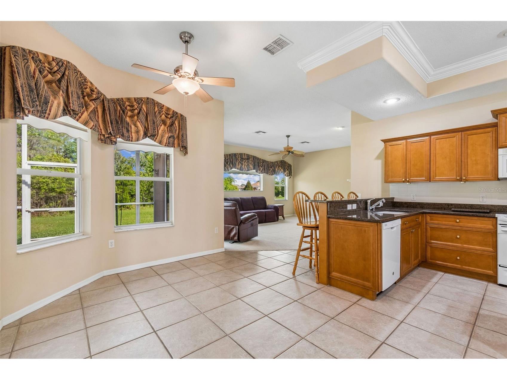 7424 Melogold Circle Land O Lakes FL 34637 TB8481245 image33