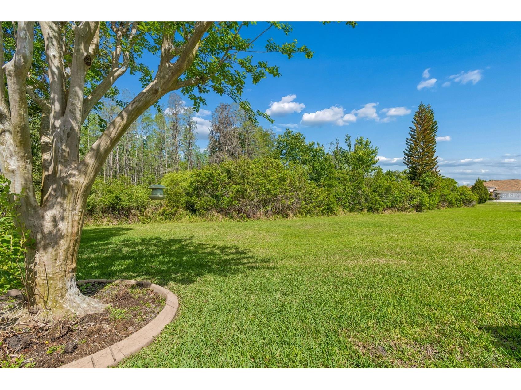 7424 Melogold Circle Land O Lakes FL 34637 TB8481245 image69