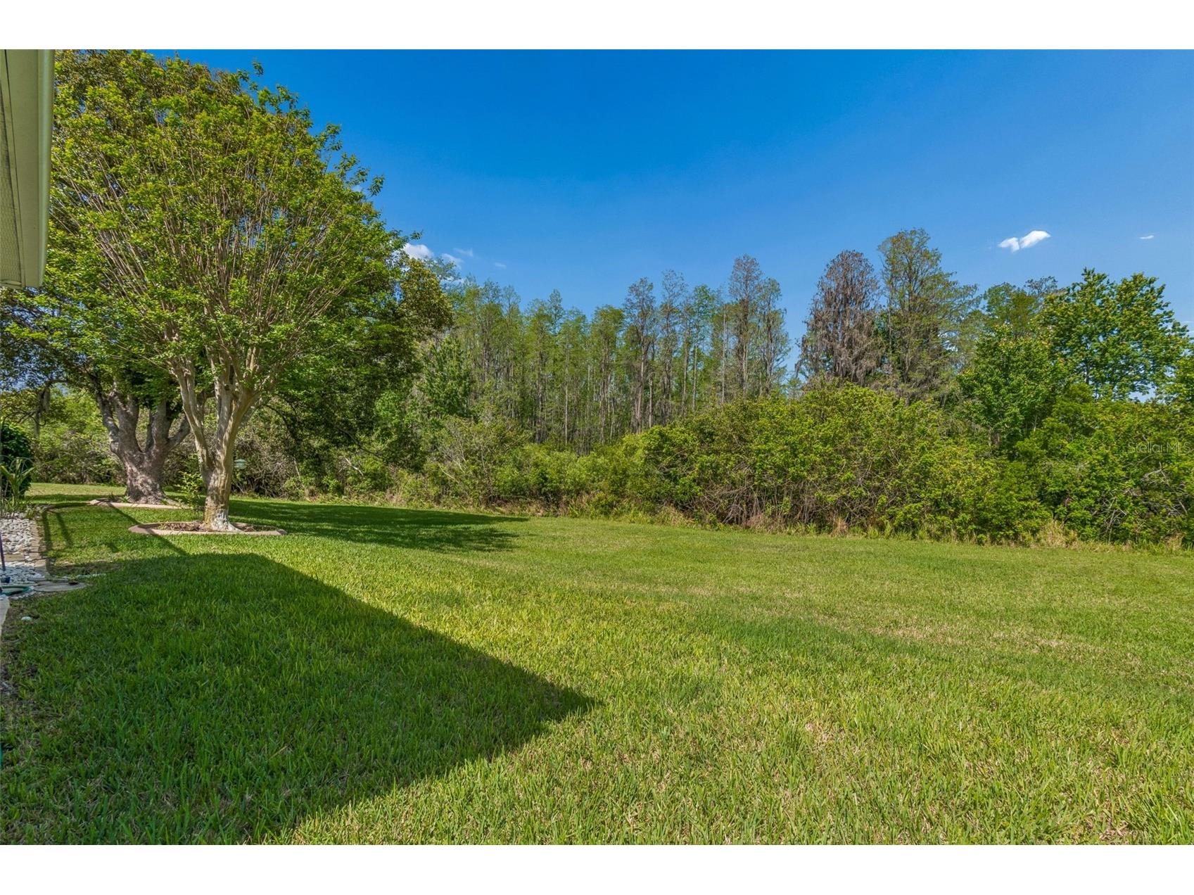 7424 Melogold Circle Land O Lakes FL 34637 TB8481245 image70