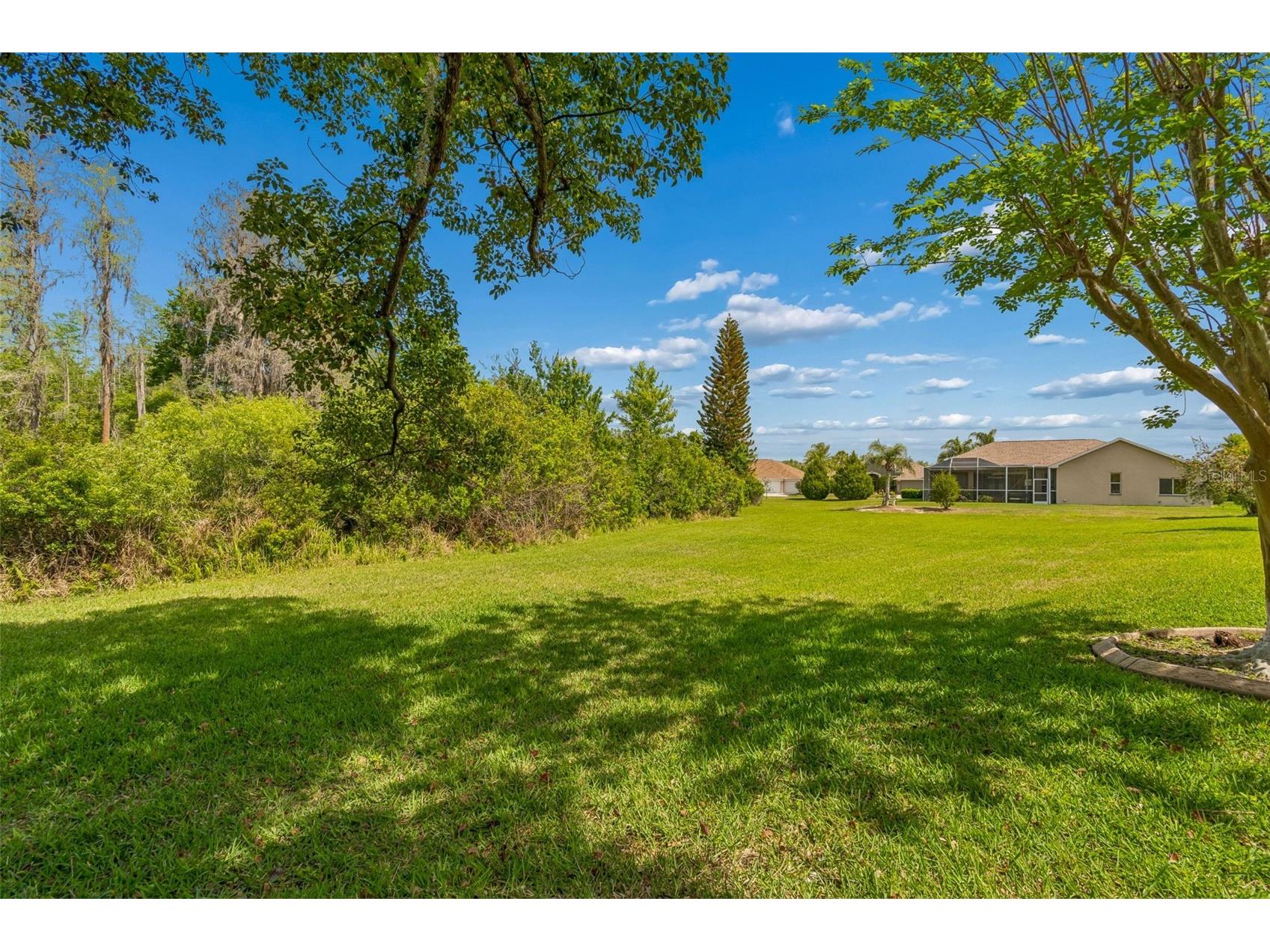 7424 Melogold Circle Land O Lakes FL 34637 TB8481245 image74