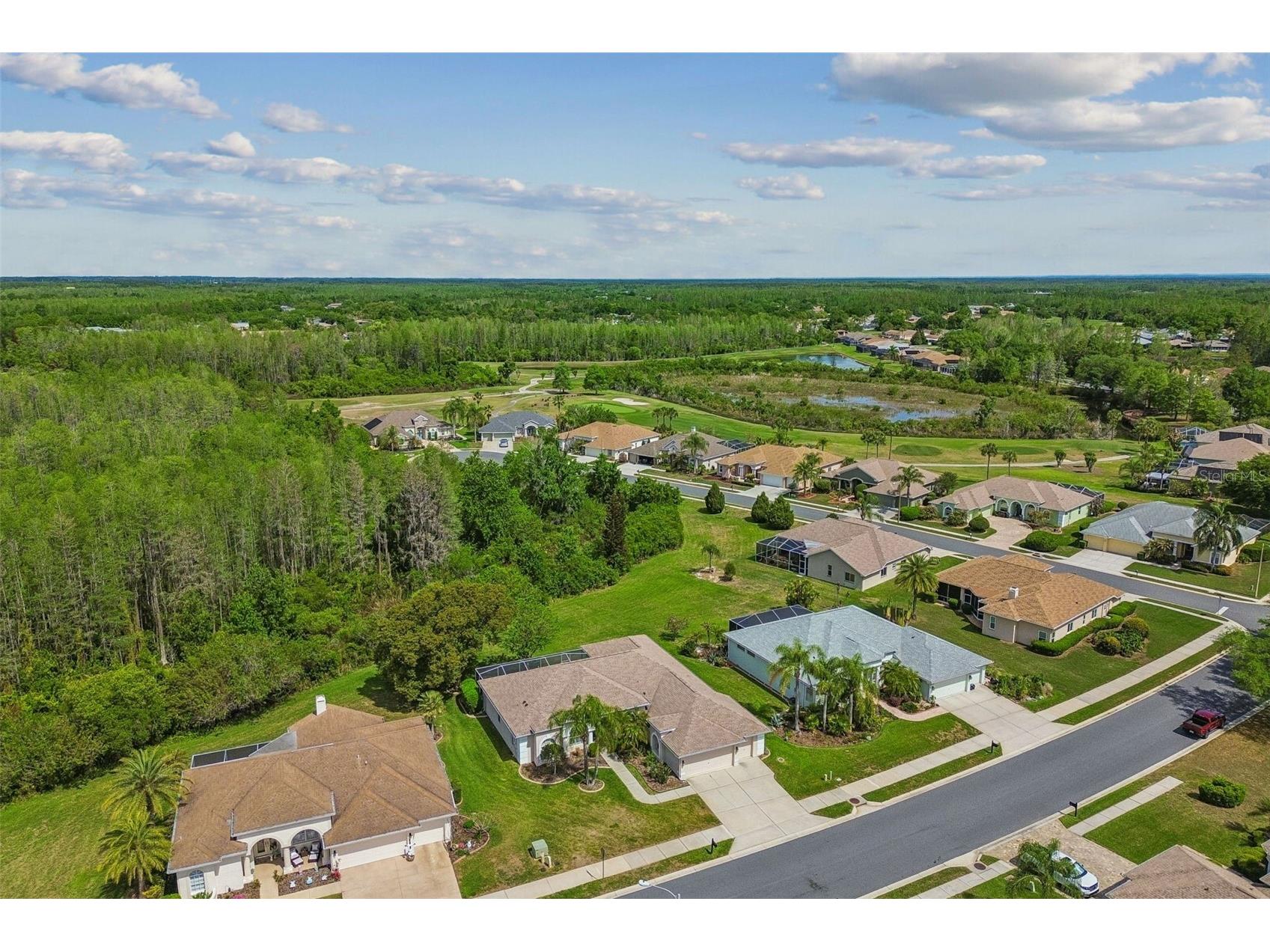 7424 Melogold Circle Land O Lakes FL 34637 TB8481245 image81