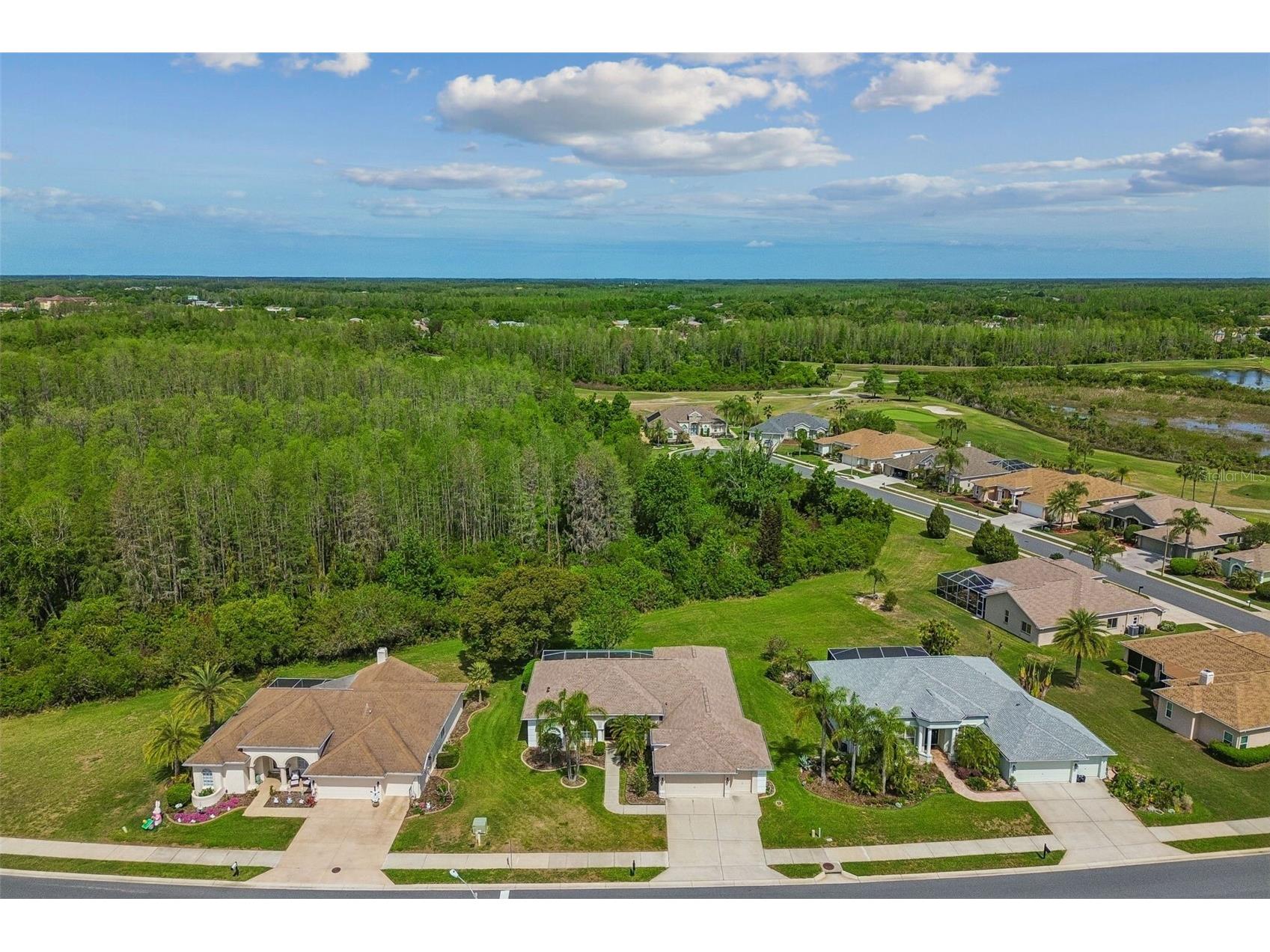 7424 Melogold Circle Land O Lakes FL 34637 TB8481245 image82