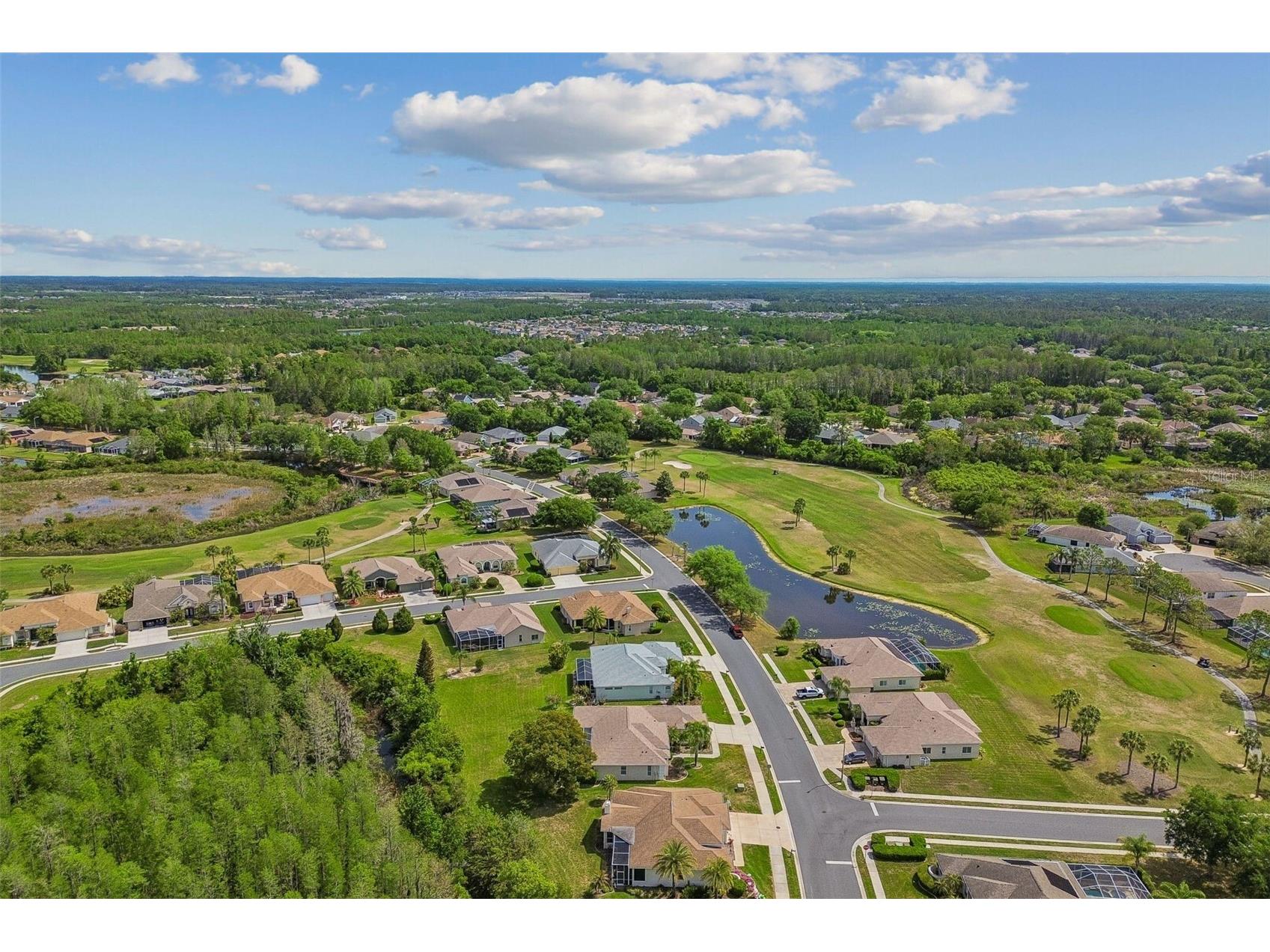 7424 Melogold Circle Land O Lakes FL 34637 TB8481245 image84