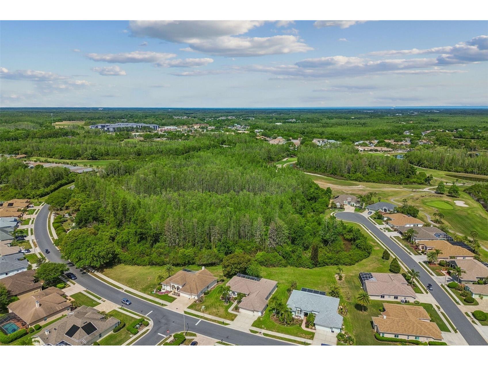 7424 Melogold Circle Land O Lakes FL 34637 TB8481245 image85