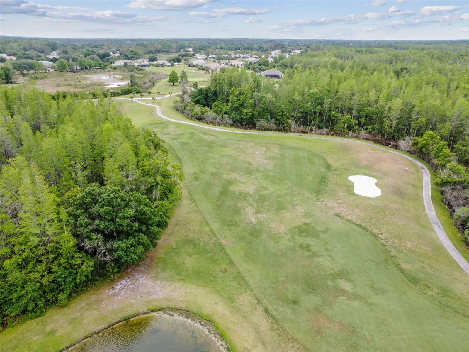 7424 Melogold Circle Land O Lakes FL 34637 TB8481245 image94