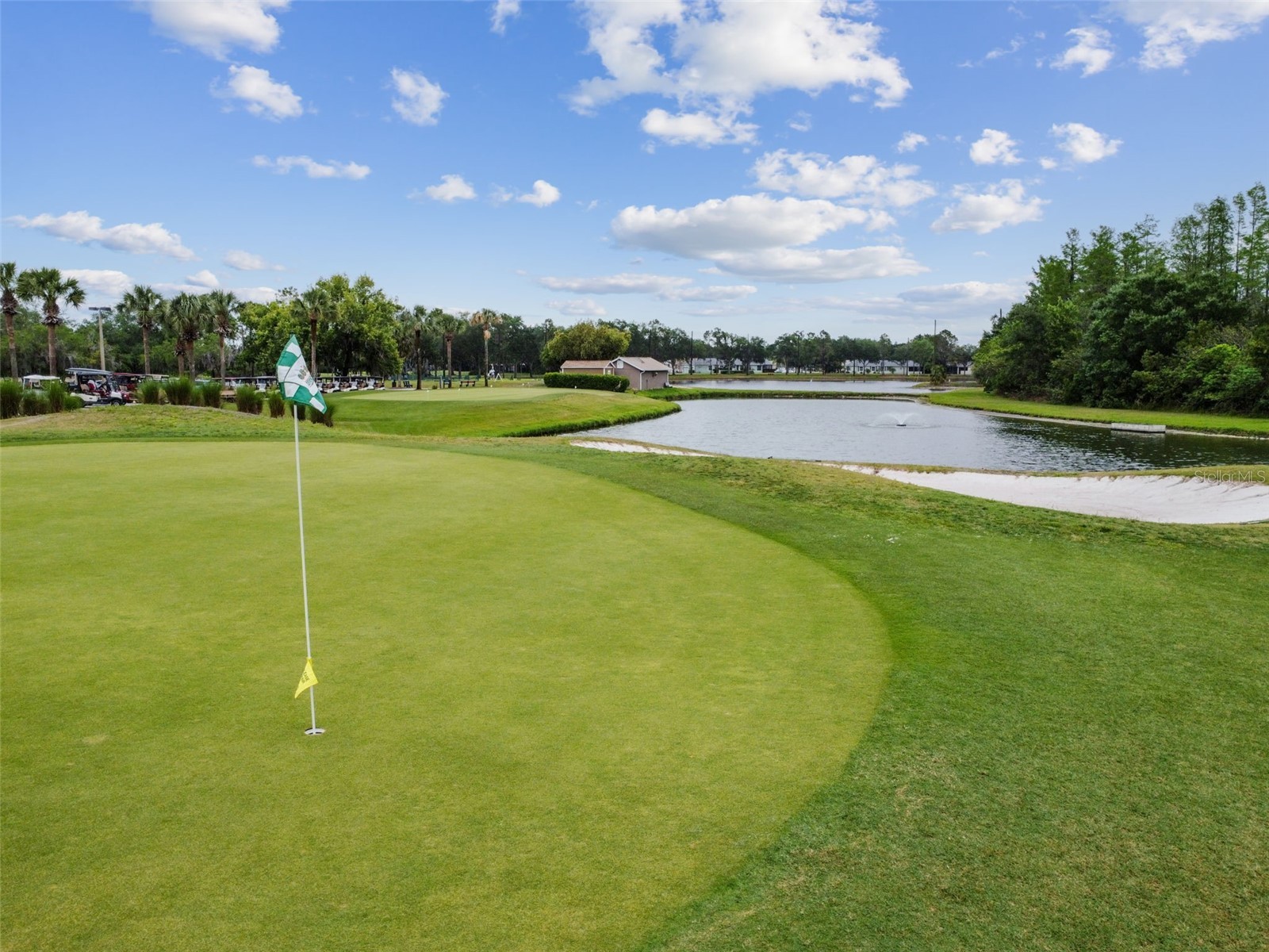7424 Melogold Circle Land O Lakes FL 34637 TB8481245 image97