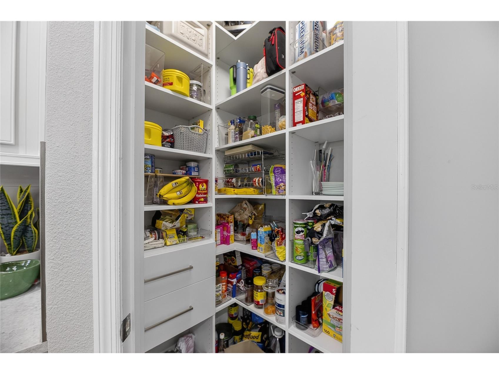 7424 Paradiso Drive Apollo Beach FL 33572 TB8460053 image49