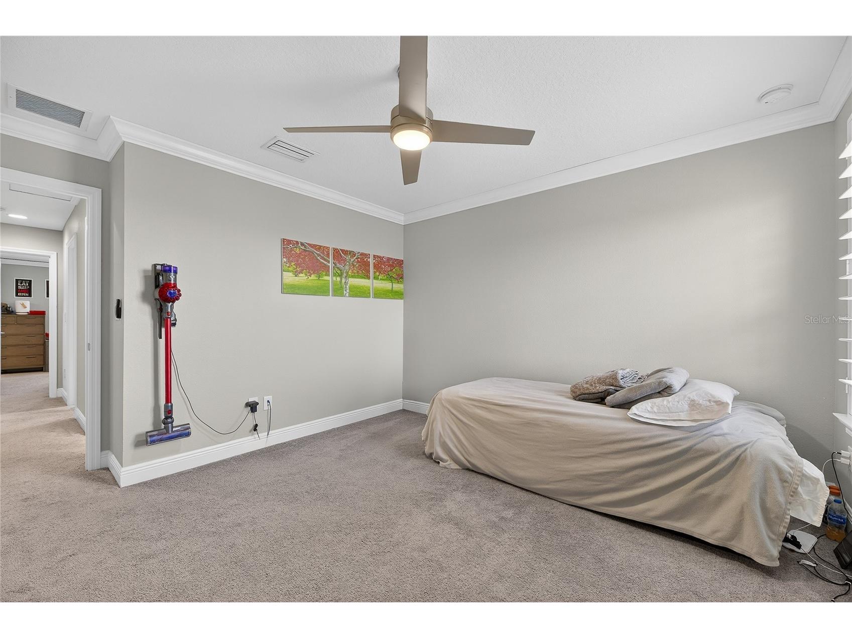 7424 Paradiso Drive Apollo Beach FL 33572 TB8460053 image60