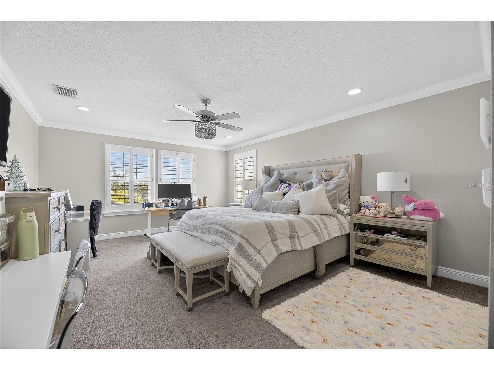 7424 Paradiso Drive Apollo Beach FL 33572 TB8460053 image87