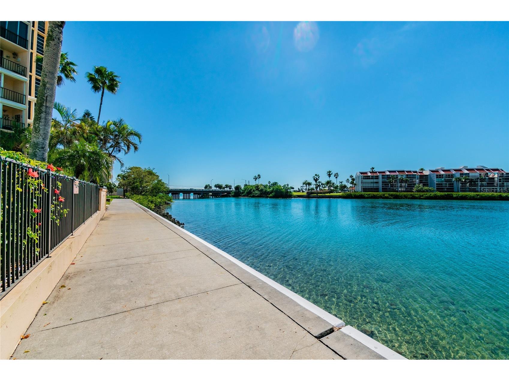 7425 Bay Island Drive S #104 South Pasadena FL 33707 TB8512936 image71