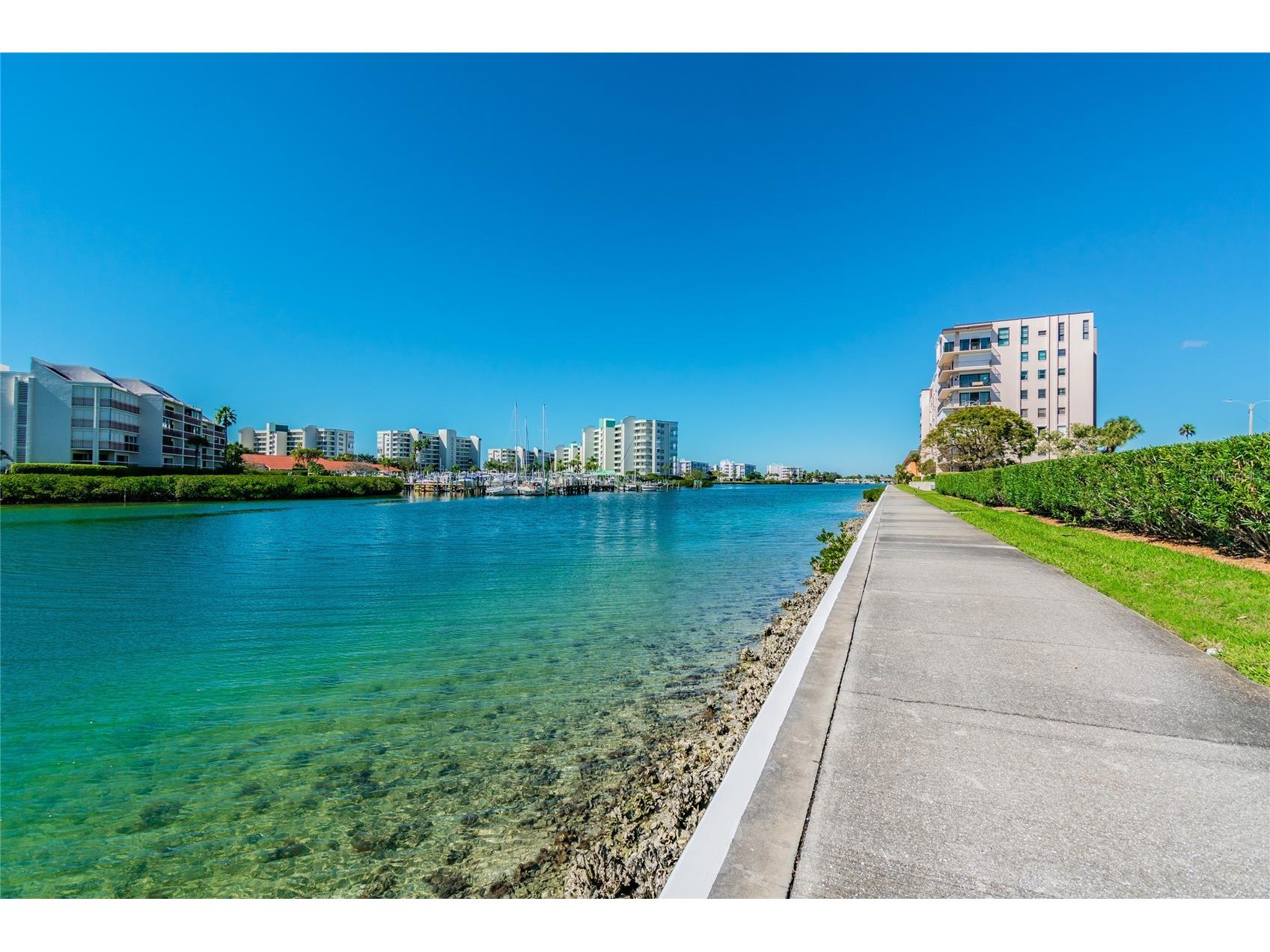 7425 Bay Island Drive S #104 South Pasadena FL 33707 TB8512936 image9