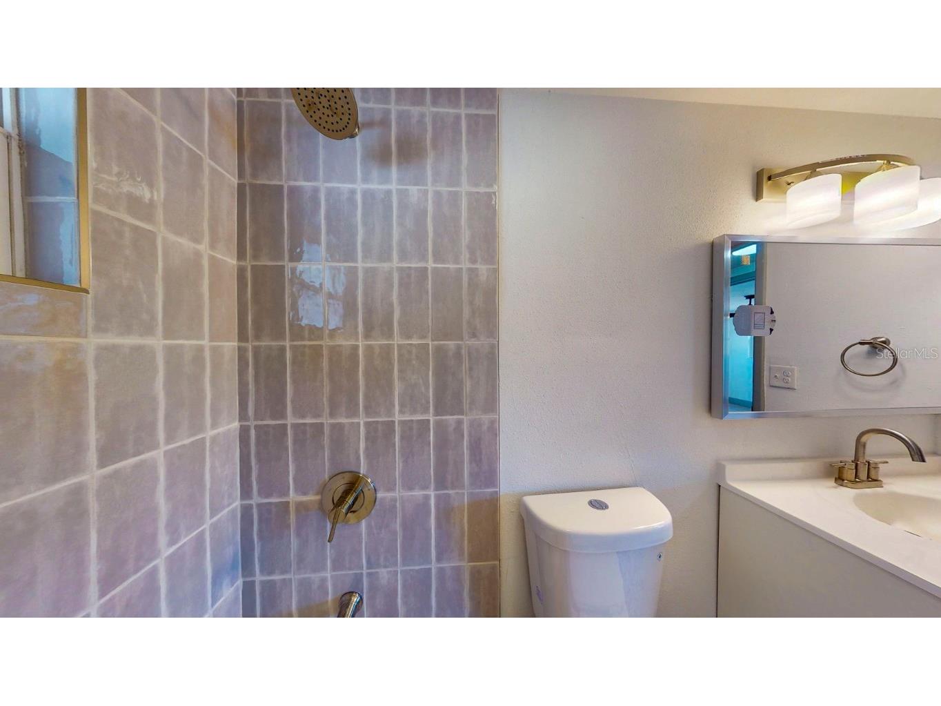 7425 Betula Drive New Port Richey FL 34653 TB8450526 image41