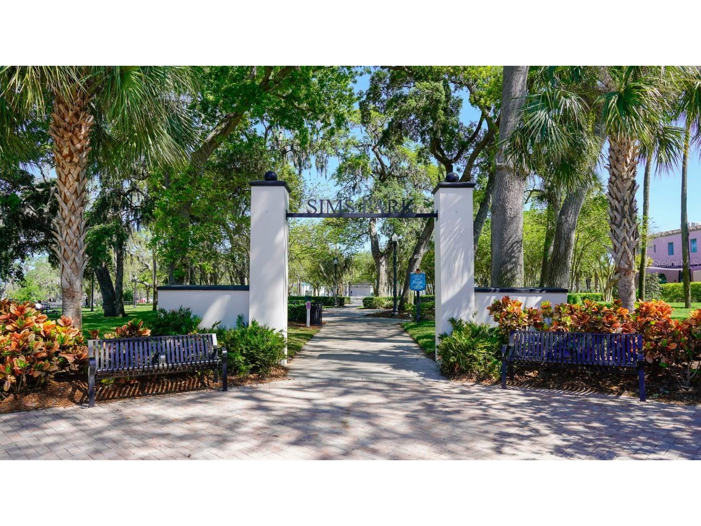 7425 Betula Drive New Port Richey FL 34653 TB8450526 image64