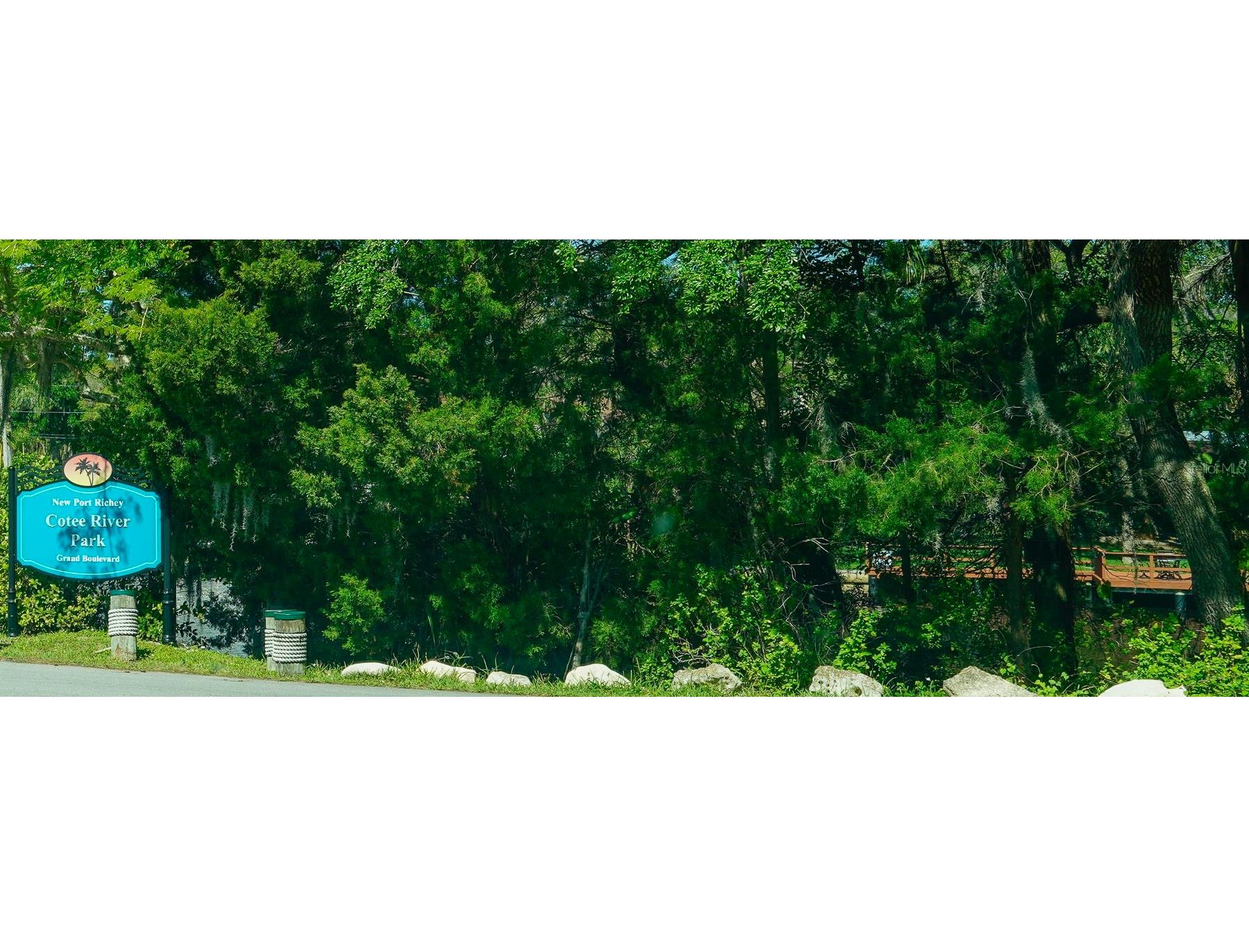 7425 Betula Drive New Port Richey FL 34653 TB8450526 image69