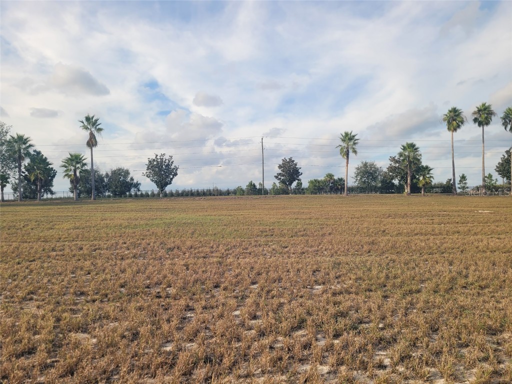 7425 Jasmine Street Groveland FL 34736 O6365756 image1