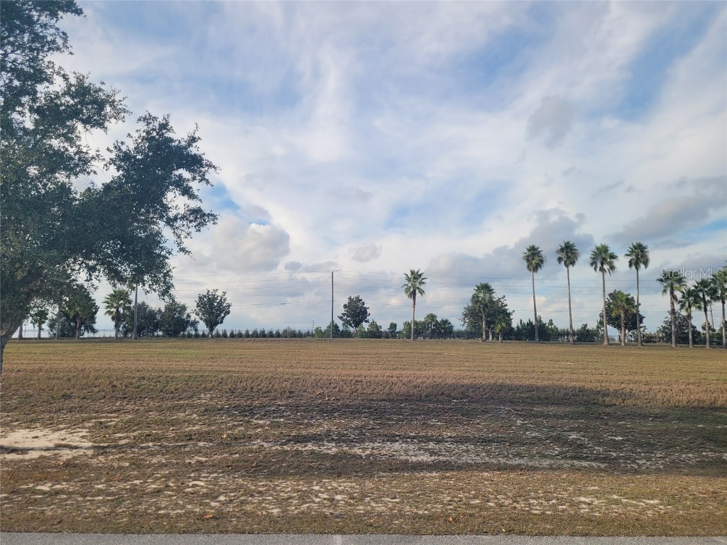 7425 Jasmine Street Groveland FL 34736 O6365756 image2