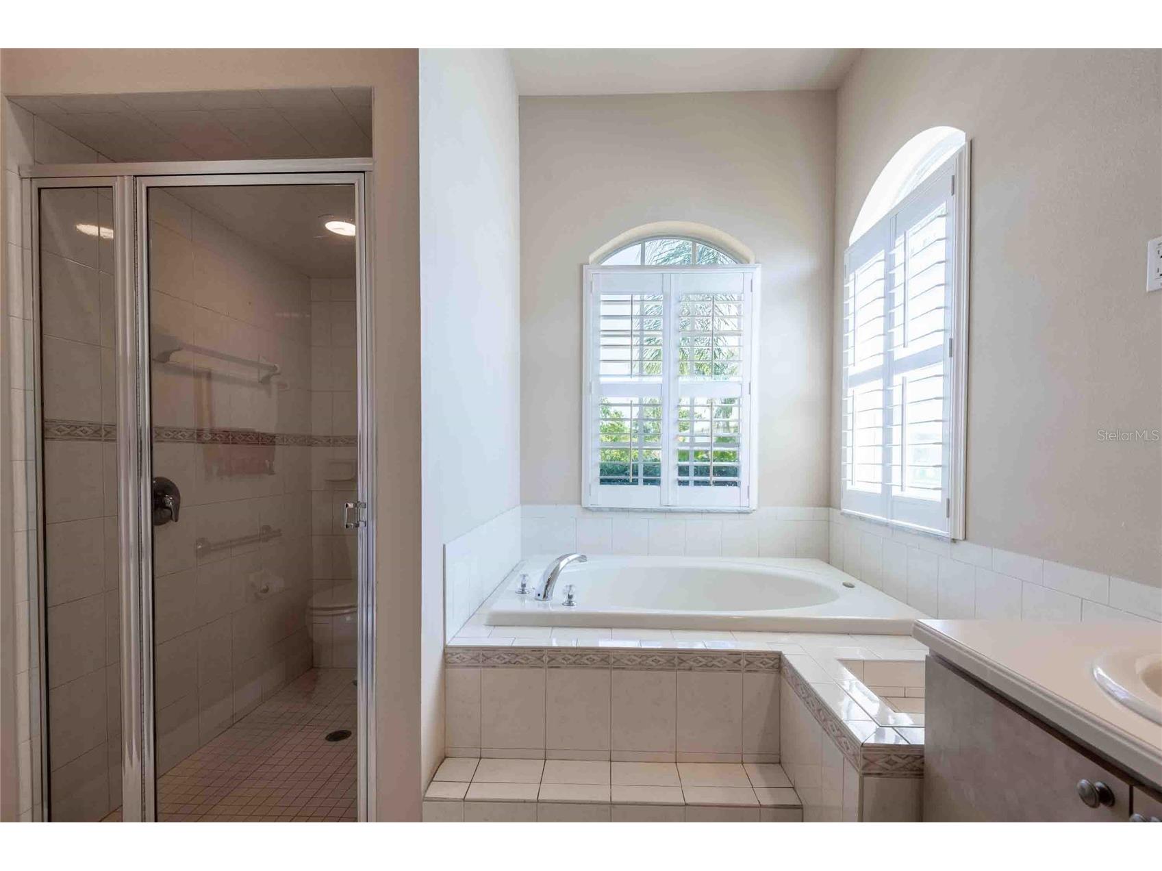 7425 Melogold Circle Land O Lakes FL 34637 TB8503629 image28