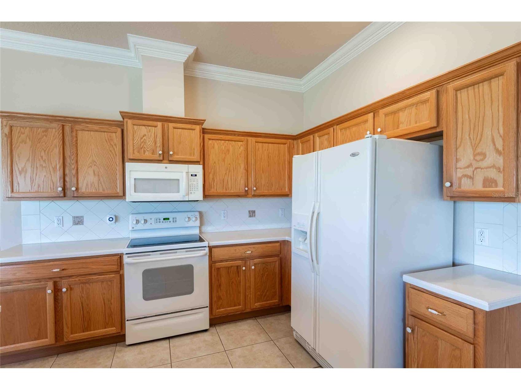 7425 Melogold Circle Land O Lakes FL 34637 TB8503629 image8