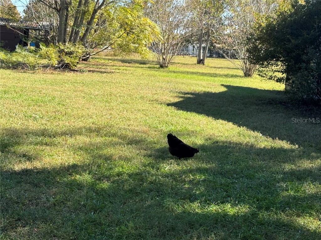 7425 S Irma Point Lecanto FL 34461 OM713009 image47