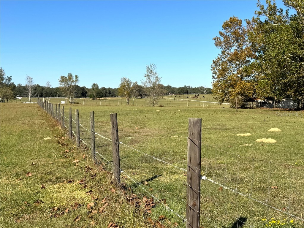 7425 S Irma Point Lecanto FL 34461 OM713009 image52