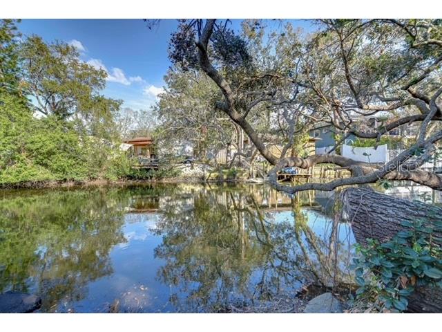 7425 Seagull Way Tampa FL 33635 - CANAL TO TAMPA BAY TB8467516 image4