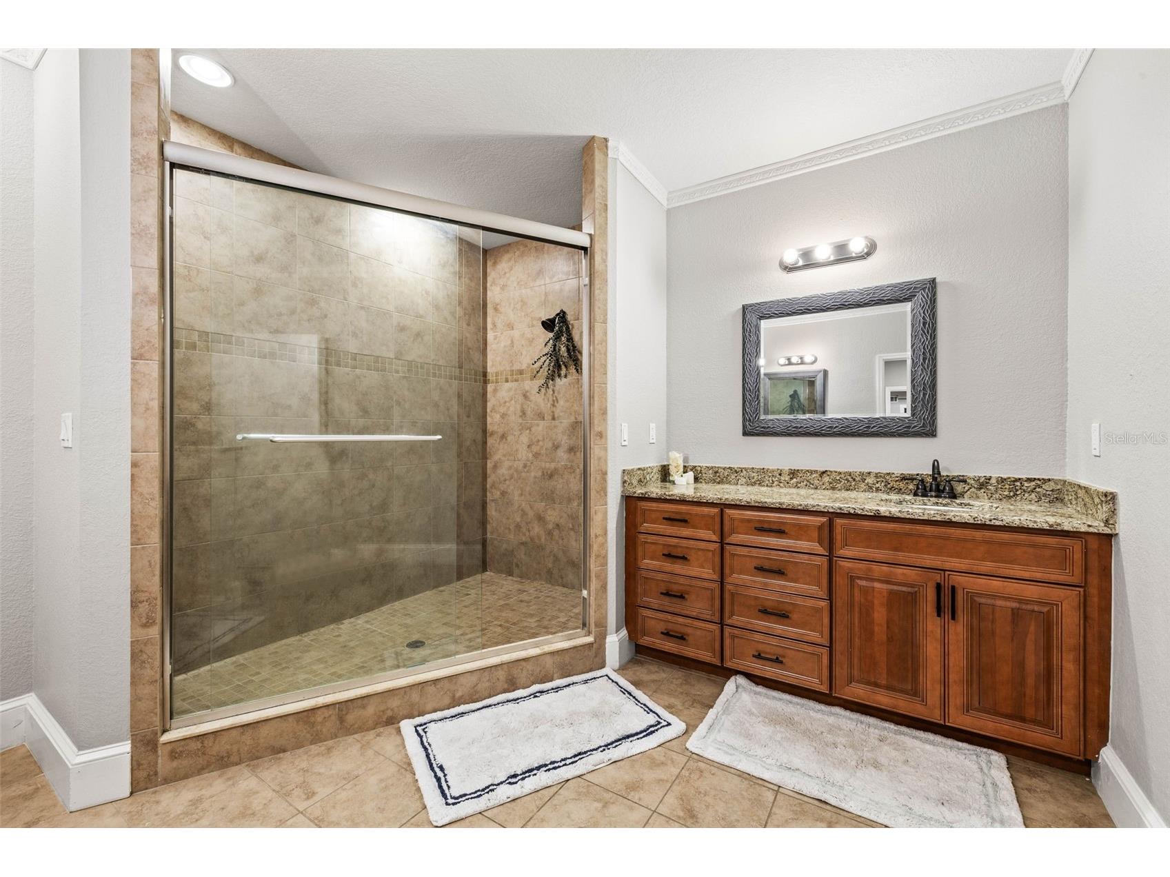 7425 Terrace River Drive Tampa FL 33637 - HILLSBOROUGH RIVER TB8511405 image23