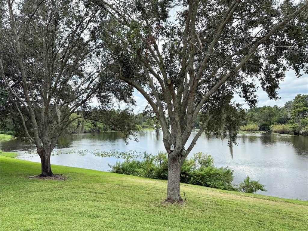 7425 Terrace River Drive Temple Terrace FL 33637 TB8415962 image61