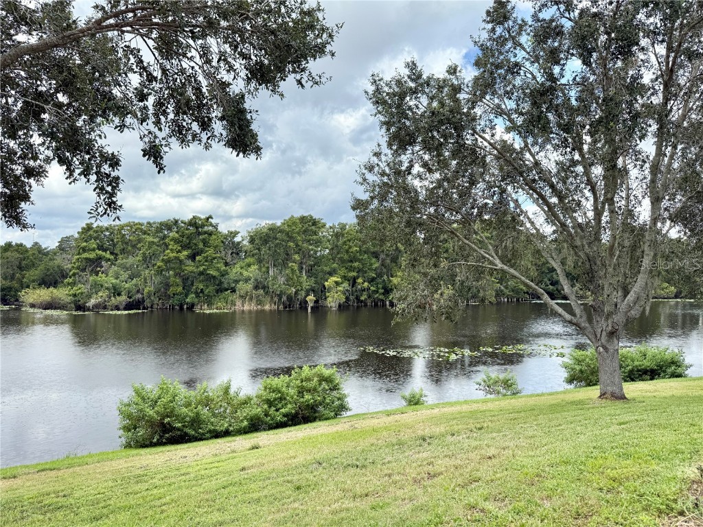 7425 Terrace River Drive Temple Terrace FL 33637 TB8415962 image62