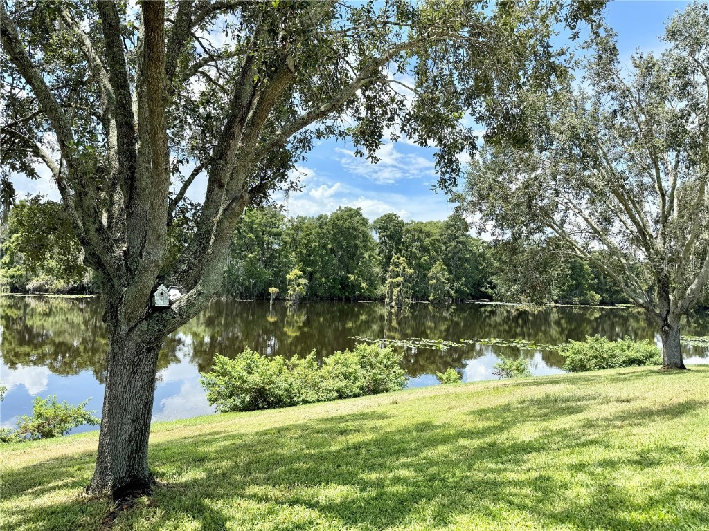 7425 Terrace River Drive Temple Terrace FL 33637 TB8415962 image63