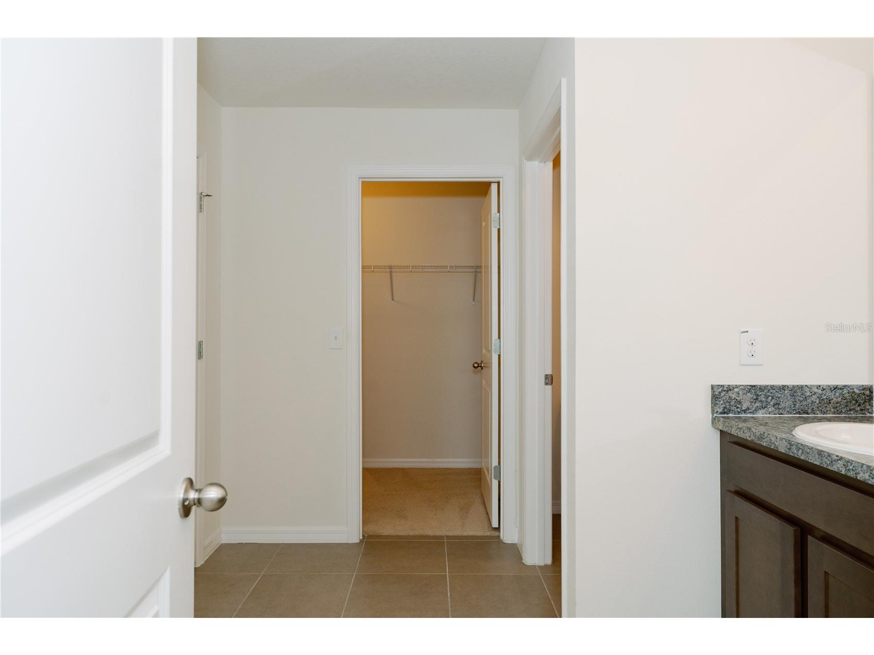 7426 Tuscan Bay Circle Wesley Chapel FL 33545 TB8493963 image28